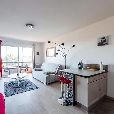 Grand Avec Piscine Presqu'ile De Giens Apartment *