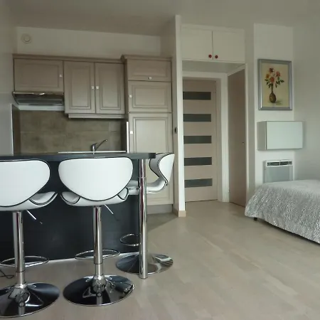 Grand Avec Piscine Presqu'ile De Giens Apartment *